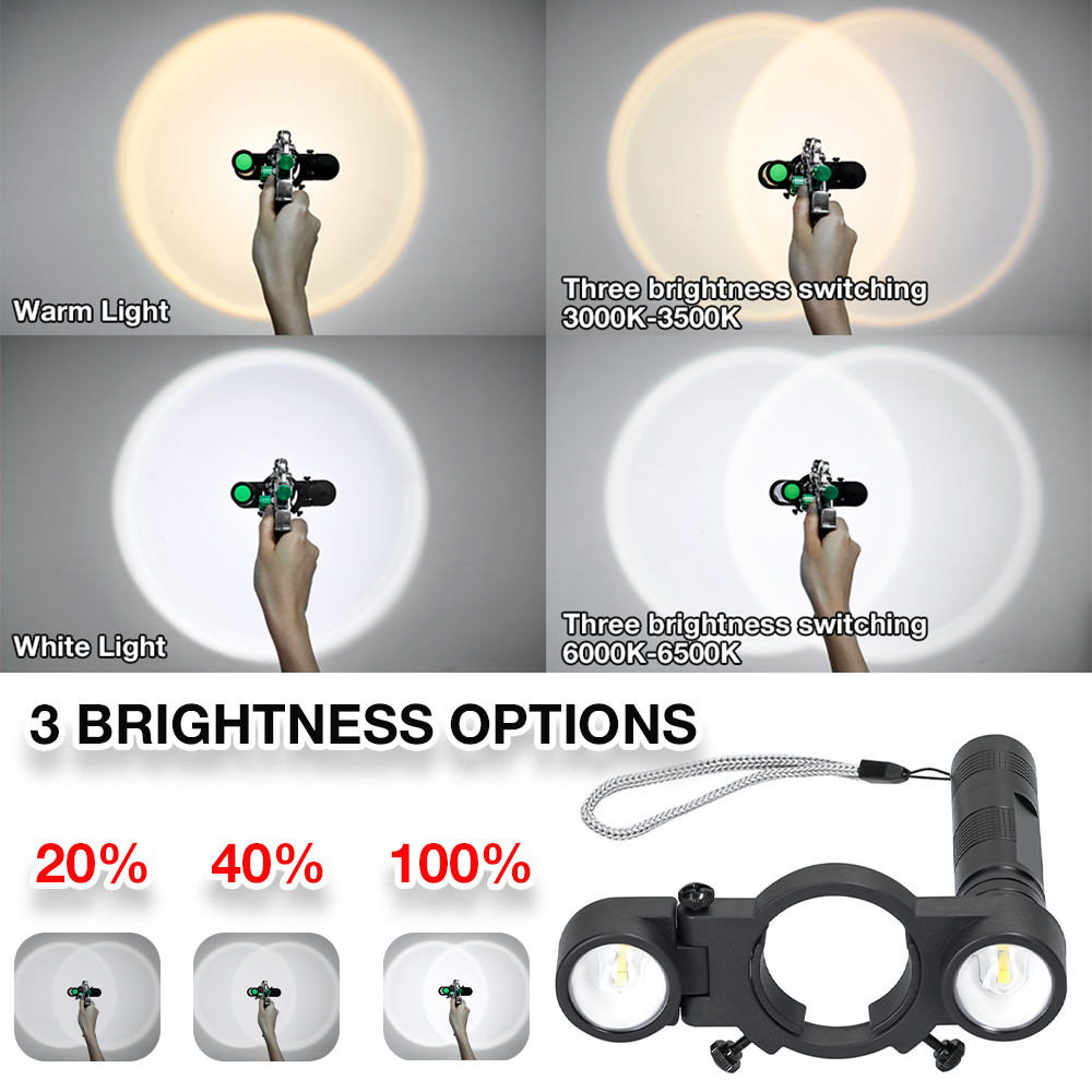 Lampe de pistolet de pulvérisa - Heat Gun Paint Strip avis et prix